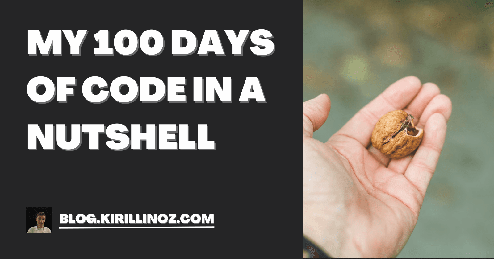 My 100 Days of Code in a Nutshell